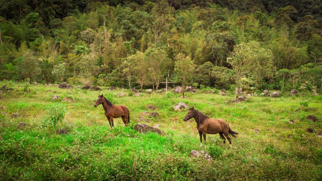 מינדו Sacha Urco Lodge Y Bosque Protector מראה חיצוני תמונה